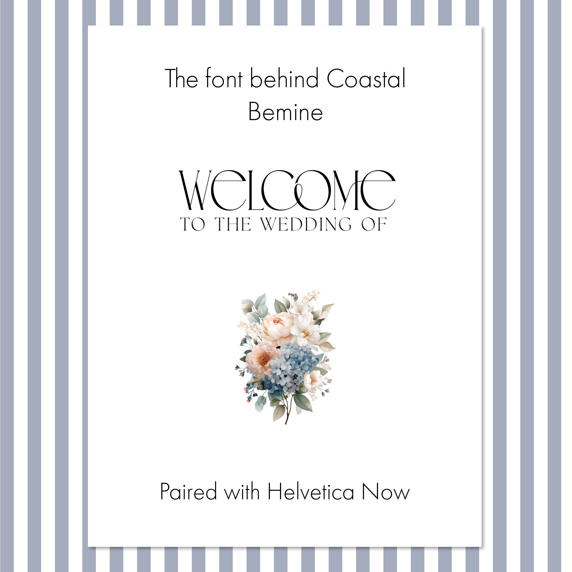 The Font Behind Coastal: Why Bemine Was the Right Choice